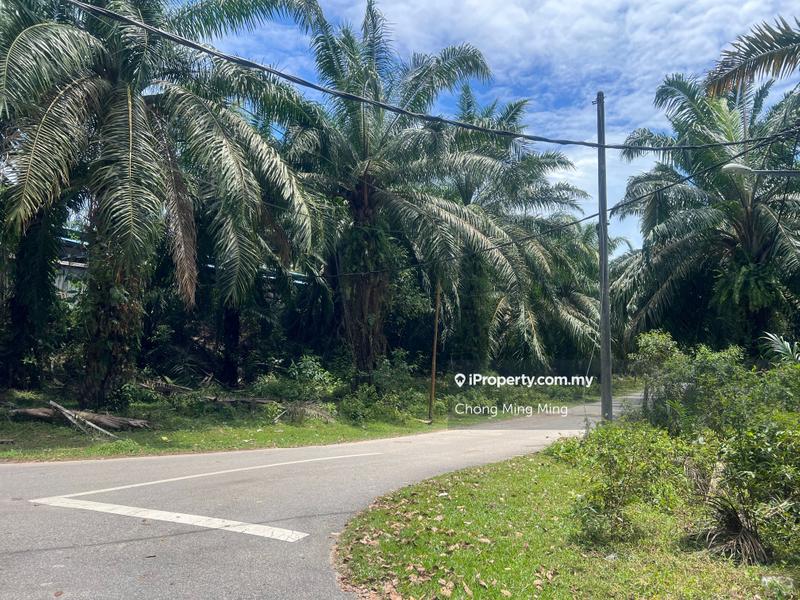 Tanah Pertanian untuk Dijual di Bandar Springhill, Port Dickson oleh Chong Ming Ming - iProperty.com.my