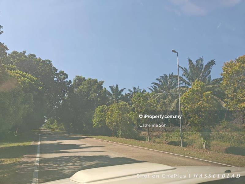 Agricultural Land for Sale in Alor Gajah Gangsa Krubong, Durian Tunggal by Catherine Soh - iProperty.com.my
