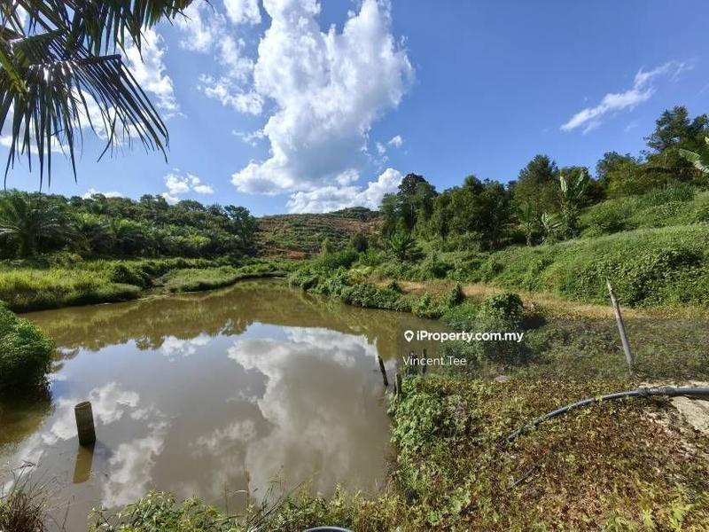 For Sale - 6.18 Acres Freehold Durian Farm Next to River Kechau Kuala Lipis Raub Bentong