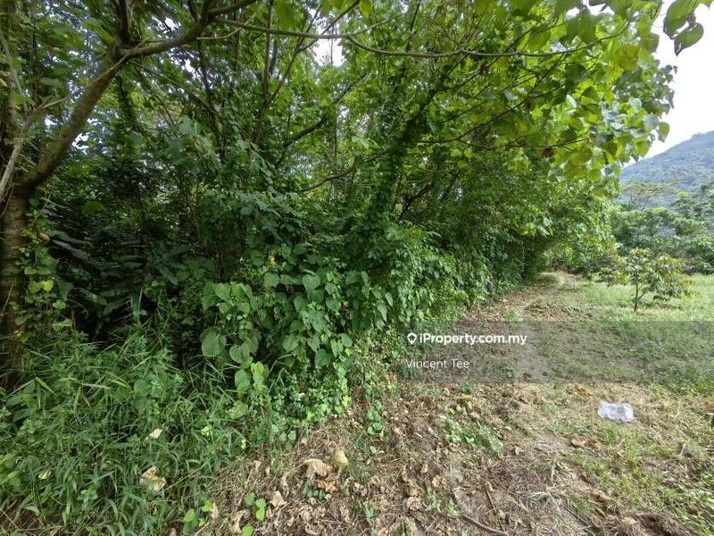 Tanah Pertanian untuk Dijual di Kampung Sungai Lalang, Semenyih oleh Vincent Tee - iProperty.com.my