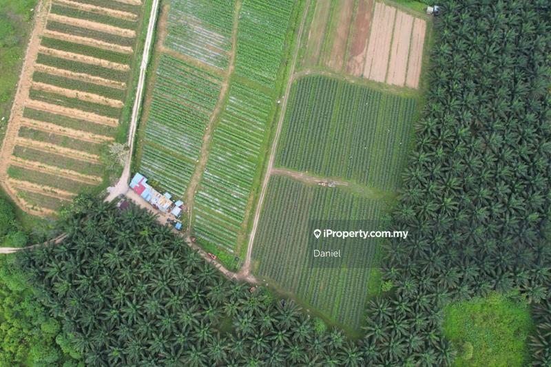 Tanah Perindustrian untuk Dijual di Batang Kali, Selangor oleh Daniel - iProperty.com.my