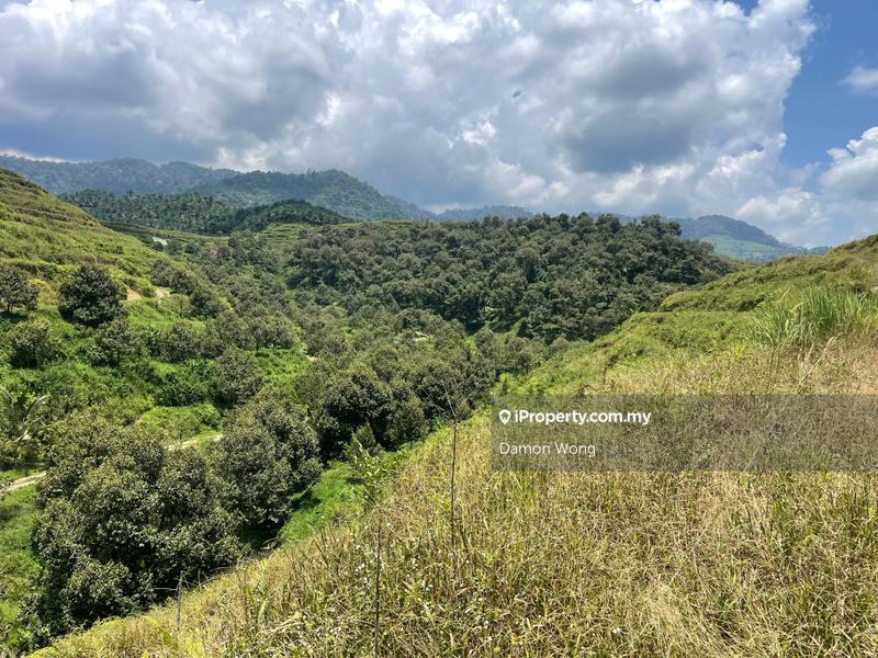 Tanah Pertanian untuk Dijual di Karak, Bentong oleh Damon Wong - iProperty.com.my