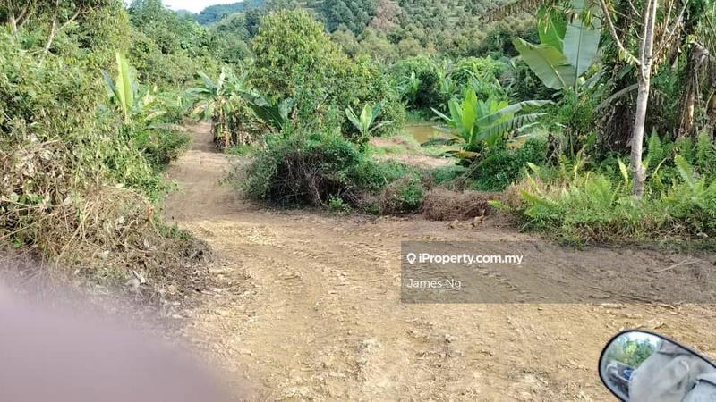 Tanah Pertanian untuk Dijual di Seri Telemong, Telemong oleh James Ng - iProperty.com.my