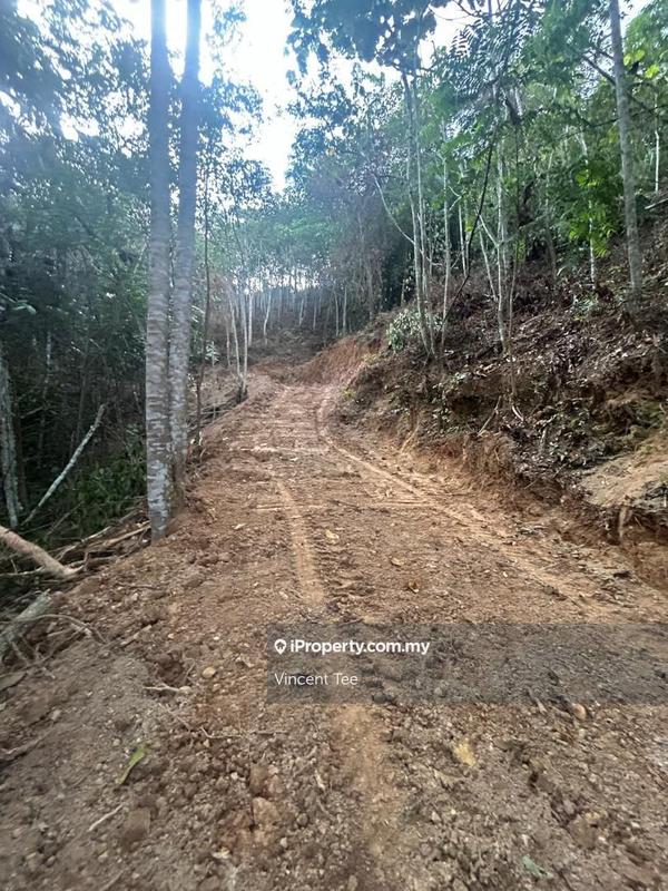 Tanah Pertanian untuk Dijual di Bandar Raub Perdana, Raub oleh Vincent Tee - iProperty.com.my