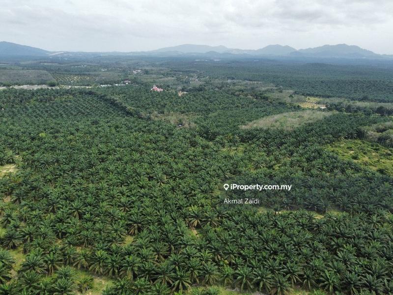 Agricultural Land for Sale in 50 to 100 Acres Near PMU TNB Melaka, Ayer Keroh by Akmal Zaidi - iProperty.com.my
