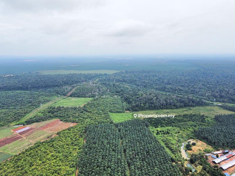 Agricultural Land for Sale in Kampung Batu 7, Port Dickson by Mohamad Faleeq - iProperty.com.my