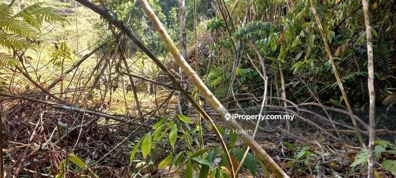 Agricultural Land for Sale in Rasa, Selangor by Iz Hakim - iProperty.com.my