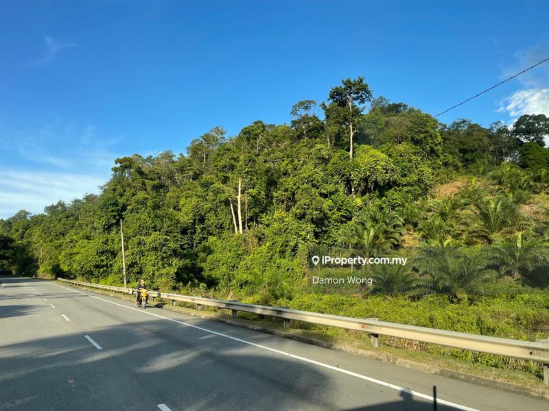 For Sale - 14.23 acres roadside land