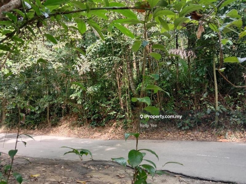 Tanah Kediaman untuk Dijual di Bukit Tengah, Bukit Mertajam oleh Kelly Yee - iProperty.com.my