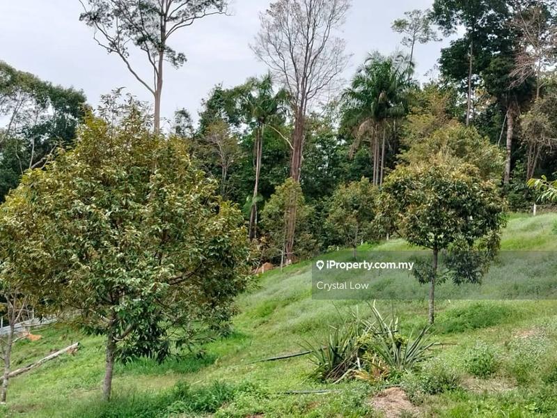 Tanah Pertanian untuk Dijual di Sega, Raub oleh Crystal Low - iProperty.com.my