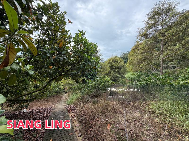 Tanah Pertanian untuk Dijual di Teluk Kumbar, Penang oleh Siang  Ling - iProperty.com.my