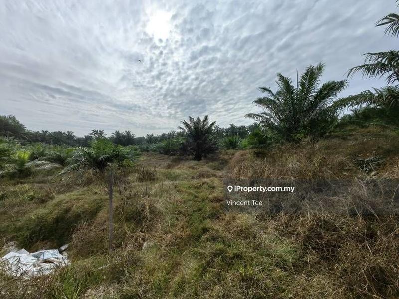 Agricultural Land for Sale in Bandar Mengkuang, Triang by Vincent Tee - iProperty.com.my
