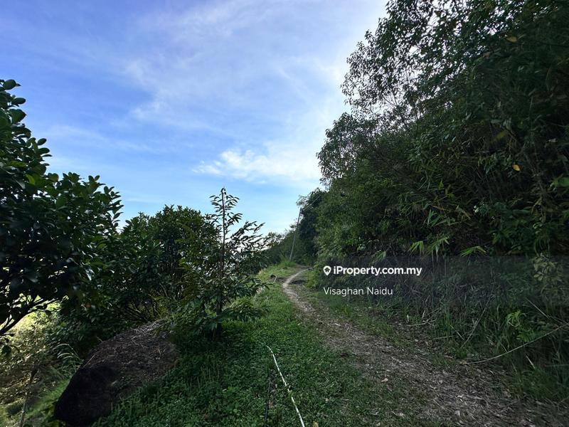 Tanah Pertanian untuk Dijual di Balik Pulau, Penang oleh Visaghan Naidu - iProperty.com.my