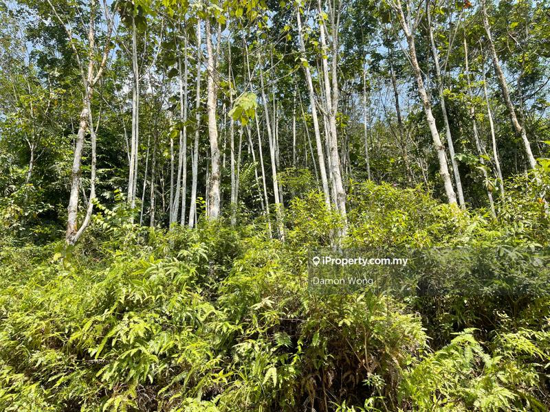 Tanah Pertanian untuk Dijual di Bentong, Bentong oleh Damon Wong - iProperty.com.my