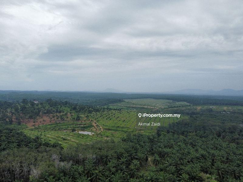 Agricultural Land for Sale in Melaka, Melaka City by Akmal Zaidi - iProperty.com.my