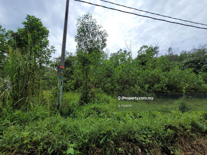 Agricultural Land for Sale in Kuala Kubu Baru, Selangor by Iz Hakim - iProperty.com.my
