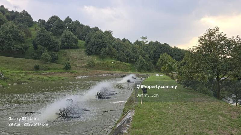 Tanah Pertanian untuk Dijual di Kampung Sungai Tekali, Hulu Langat oleh Jimmy Goh - iProperty.com.my