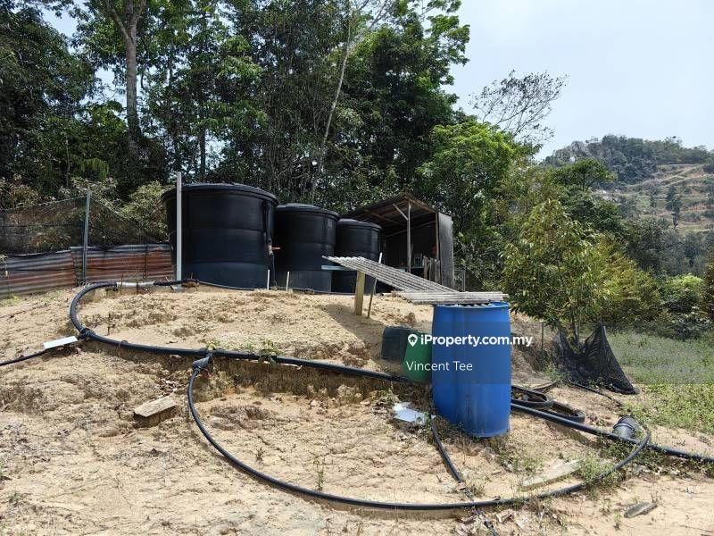 Agricultural Land for Sale in Taman Titi, Titi by Vincent Tee - iProperty.com.my