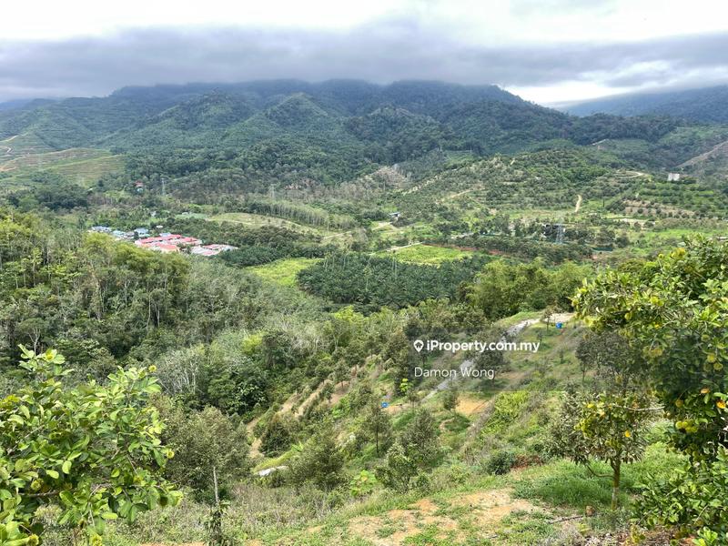 Agricultural Land for Sale in Bandar Tras, Raub by Damon Wong - iProperty.com.my