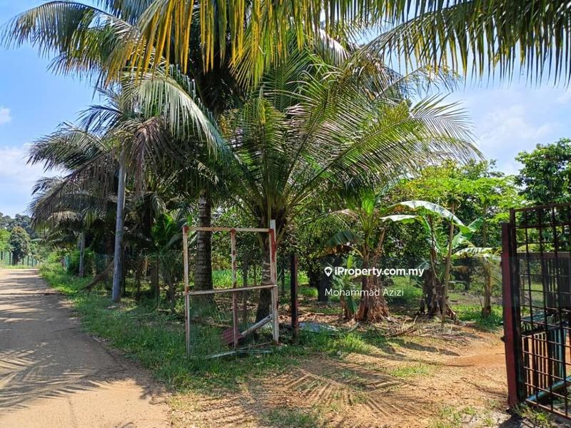 Agricultural Land for Sale in Balok, Sungai Karang by Mohammad Azizi - iProperty.com.my