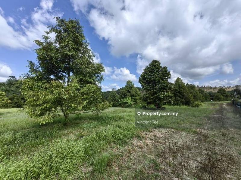 Agricultural Land for Sale in Bandar Lipis, Kuala Lipis by Vincent Tee - iProperty.com.my