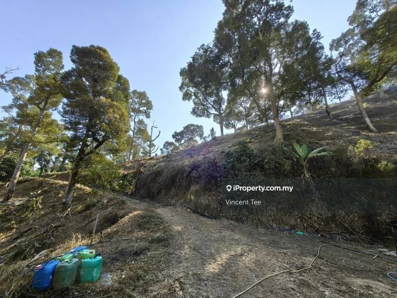 Tanah Pertanian untuk Dijual di Cheroh, Raub oleh Vincent Tee - iProperty.com.my