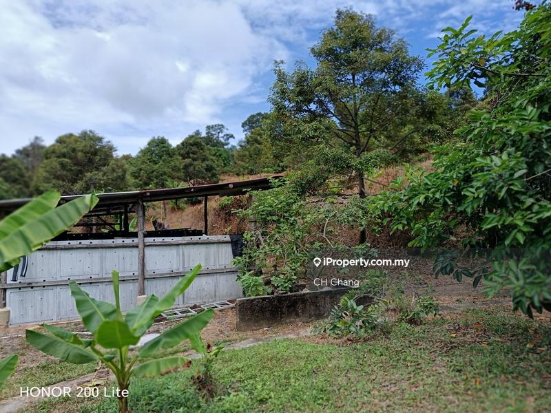 Tanah Pertanian untuk Dijual di Kampung Sungai Pinang, Balik Pulau oleh CH Chang - iProperty.com.my