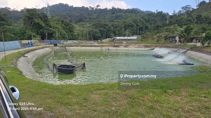 Tanah Pertanian untuk Dijual di Kampung Sungai Tekali, Hulu Langat oleh Jimmy Goh - iProperty.com.my