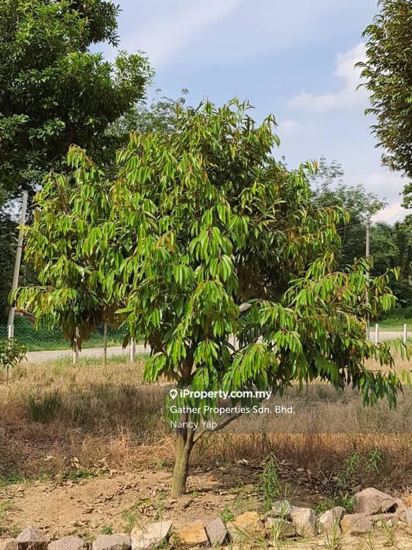 Agricultural Land for Sale in Karak, Pahang by Nancy Yap - iProperty.com.my