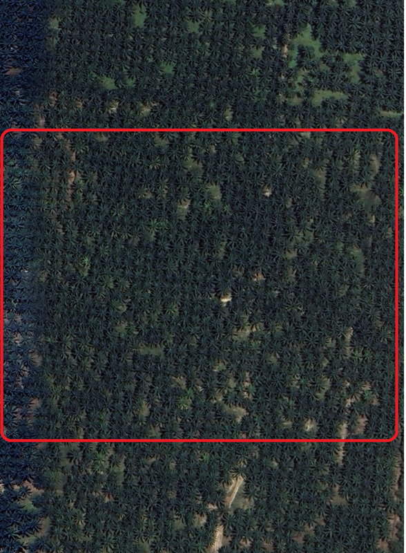 Agricultural Land untuk Dijual di Dengkil Sepang, Sepang oleh Edwin Kon - iProperty.com.my