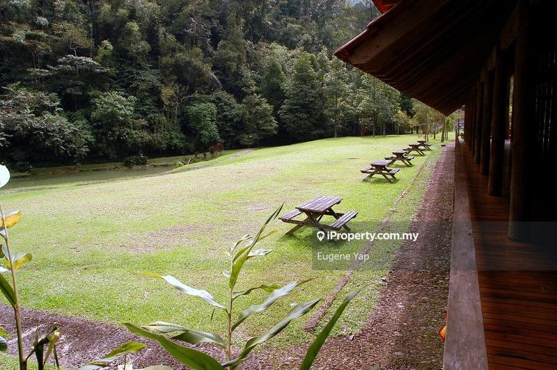 Agricultural Land for Sale in Tanarimba,Janda Baik,Bentong, Bentong by Eugene Yap - iProperty.com.my