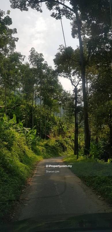 Tanah Kediaman untuk Dijual di Bayan Lepas, Gertak Sanggul oleh Sharon Lim - iProperty.com.my