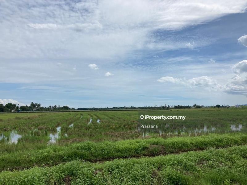 Agricultural Land for Sale in Pekan Darat, Butterworth by Prassana - iProperty.com.my