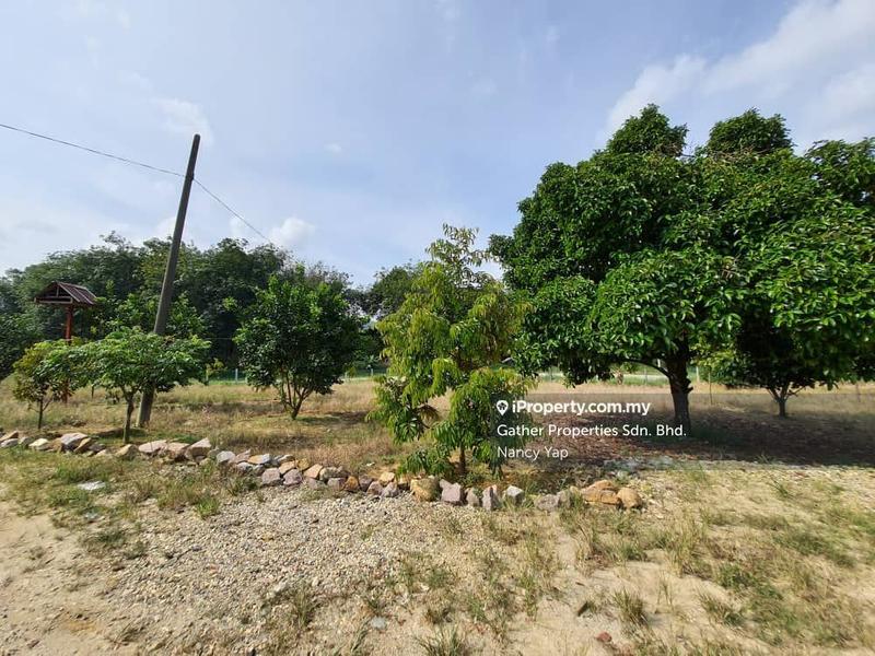 Agricultural Land for Sale in Karak, Pahang by Nancy Yap - iProperty.com.my