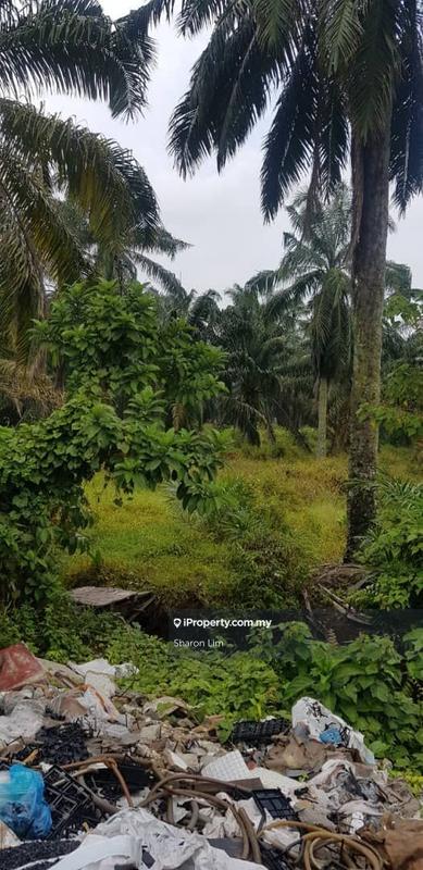 Tanah Kediaman untuk Dijual di Bayan Lepas, Gertak Sanggul oleh Sharon Lim - iProperty.com.my