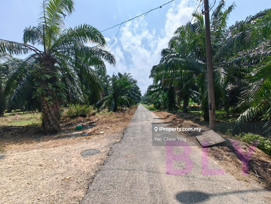 Hot Cheap Sale!! Kelanang Banting Kuala Langat 2.146 Acres Agricultural