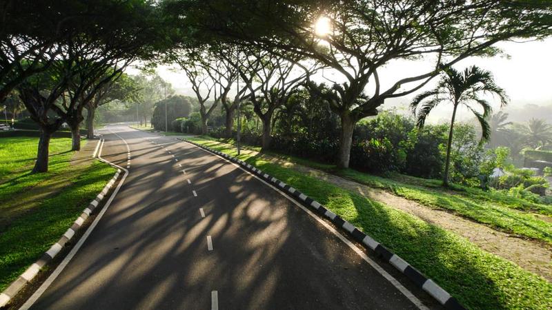 For Sale - Planters' Haven : Planters' Haven