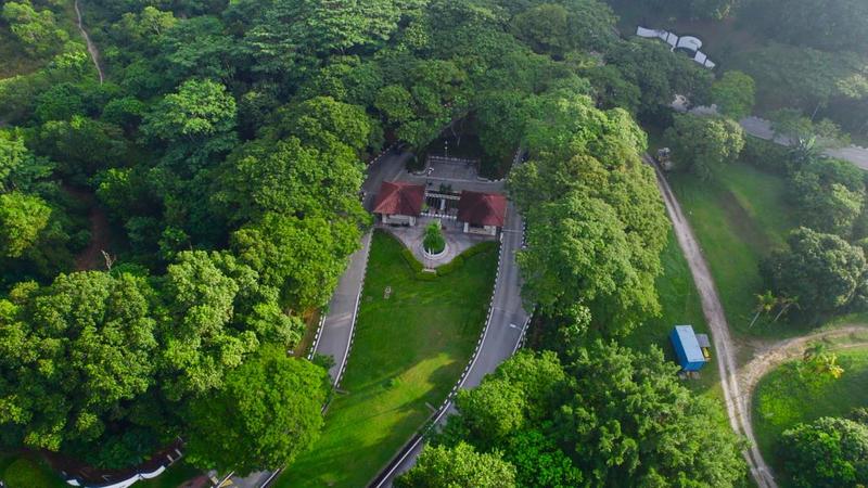 For Sale - Planters' Haven : Planters' Haven