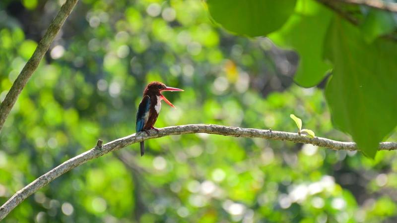 For Sale - Planters' Haven : Planters' Haven