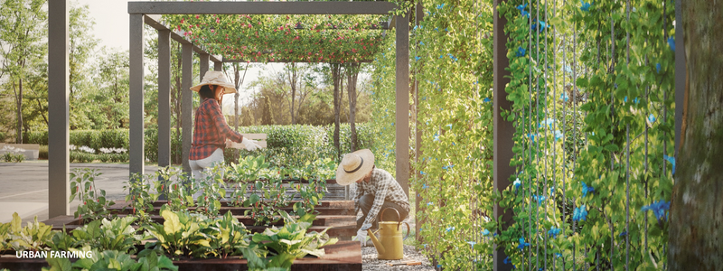 For Sale - Sunway Flora 2