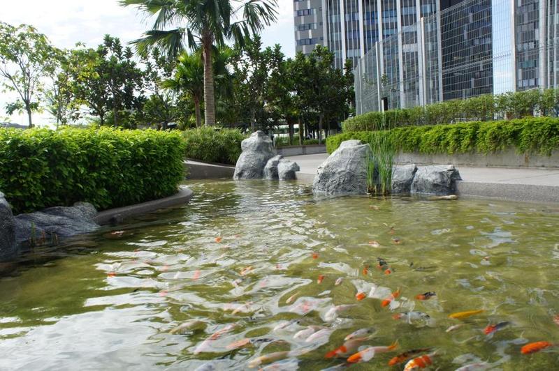 For Sale - Lumi Tropicana