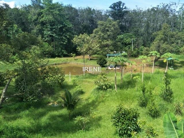 Cinta Manis Bentong Agricultural Land For Sale Iproperty Com My