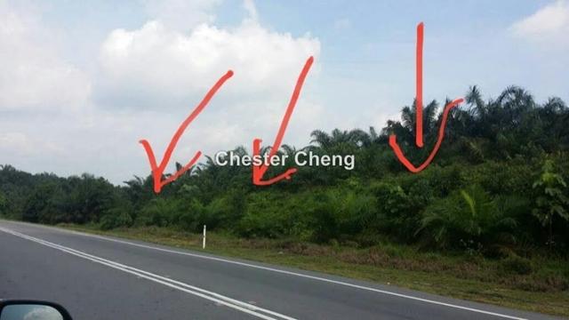 Kota Tinggi At Jalan Kulai 21 Acres Kota Tinggi Agricultural Land For Sale Iproperty Com My