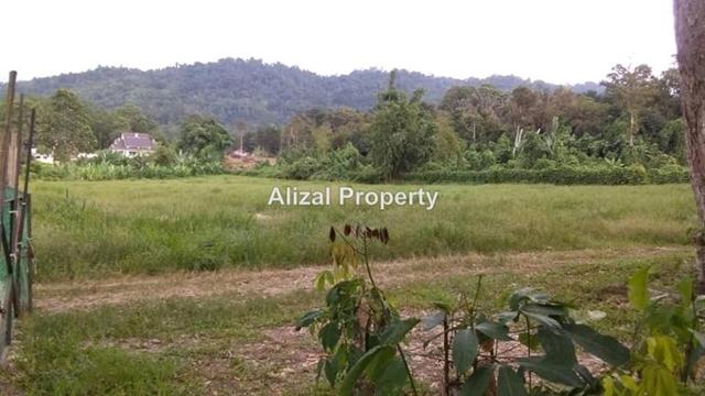 Tanah Pertanian Agricultural Land untuk disewa di Hulu Langat 