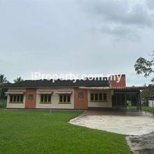 Taiping