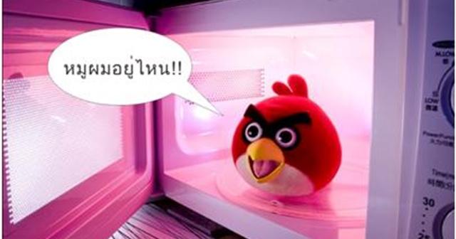 เตา อบ กับ ไมโครเวฟ เหมือน กัน ไหม