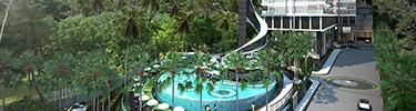 Delmare