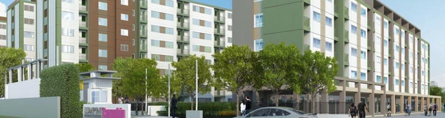 LPN Township 1