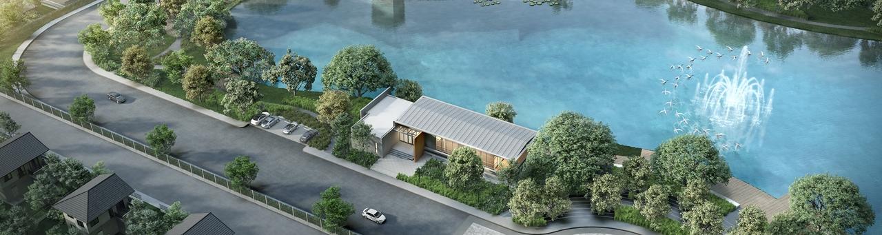Lake-forest-bird-view