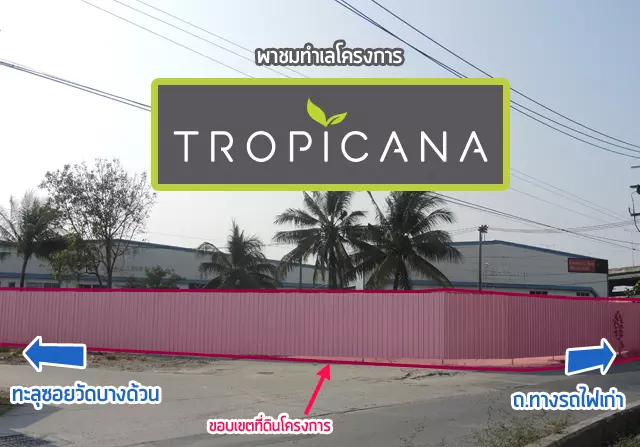 Tropicana_Cover2